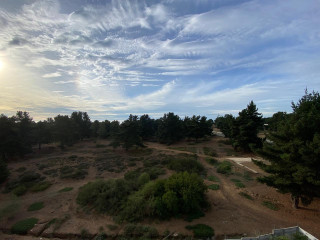 VISTA DESDE TERRAZA